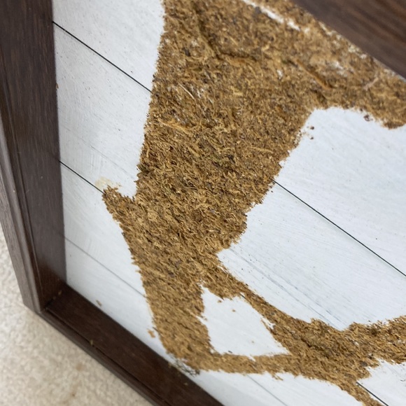 Kirklands like new 15 in square LOVE natural moss art framed - Picture 2 of 4